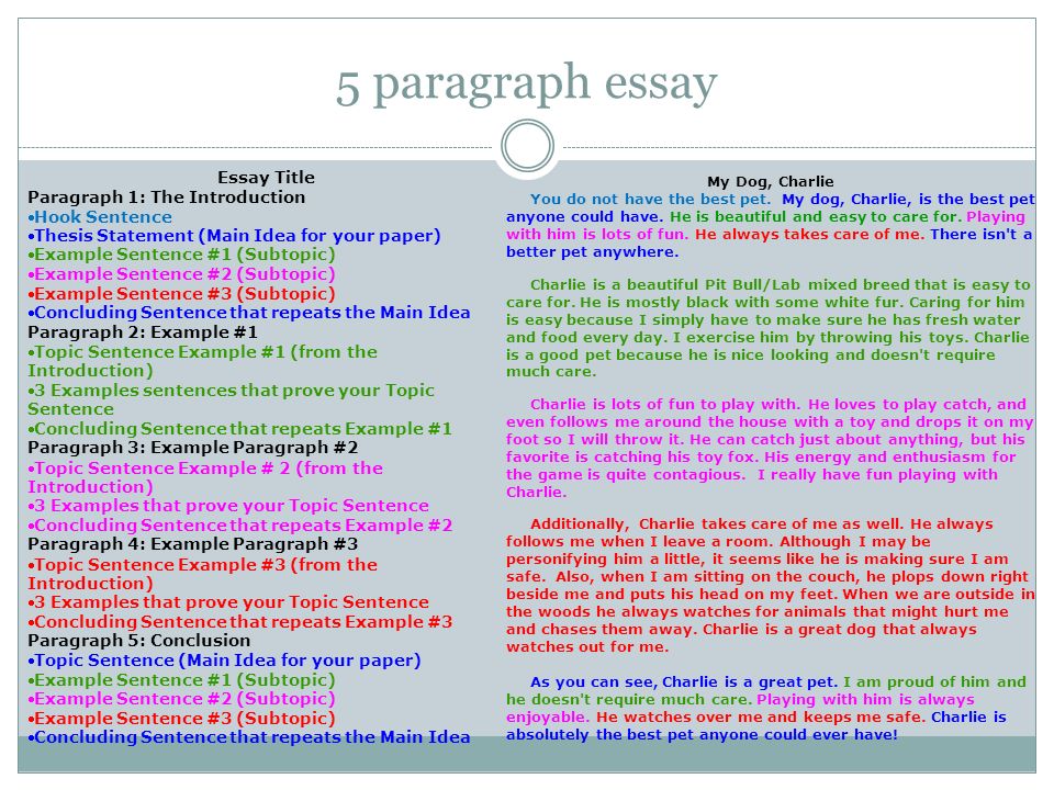How to Write an Argumentative Essay: Structure, Samples and 40 Topic Ideas